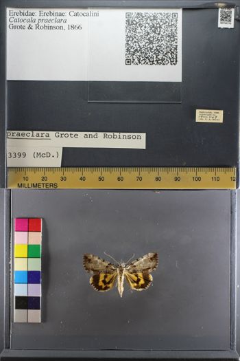 Media type: image;   Entomology 750770